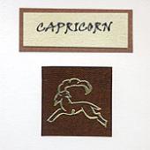 CAPRICORN image 1
