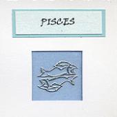 PISCES image 1