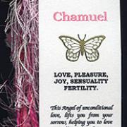 CHAMUEL image 2