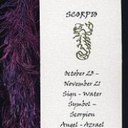 SCORPIO image 2