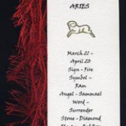 ARIES image 2
