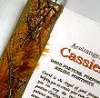 CASSIEL