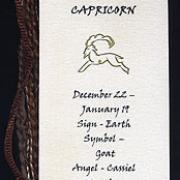 CAPRICORN image 2