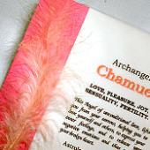 CHAMUEL image 1