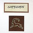 CAPRICORN