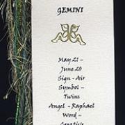 GEMINI image 2
