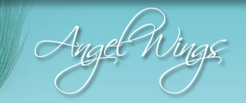 Angel Wings Logo