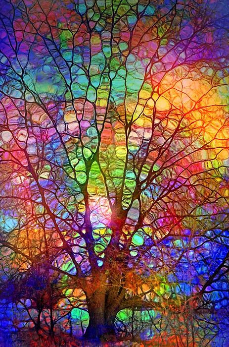 Colour - tree.jpg