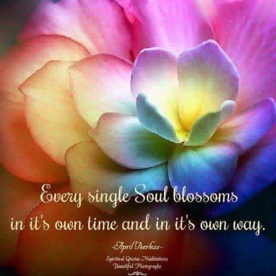 Soul blossoms.jpg